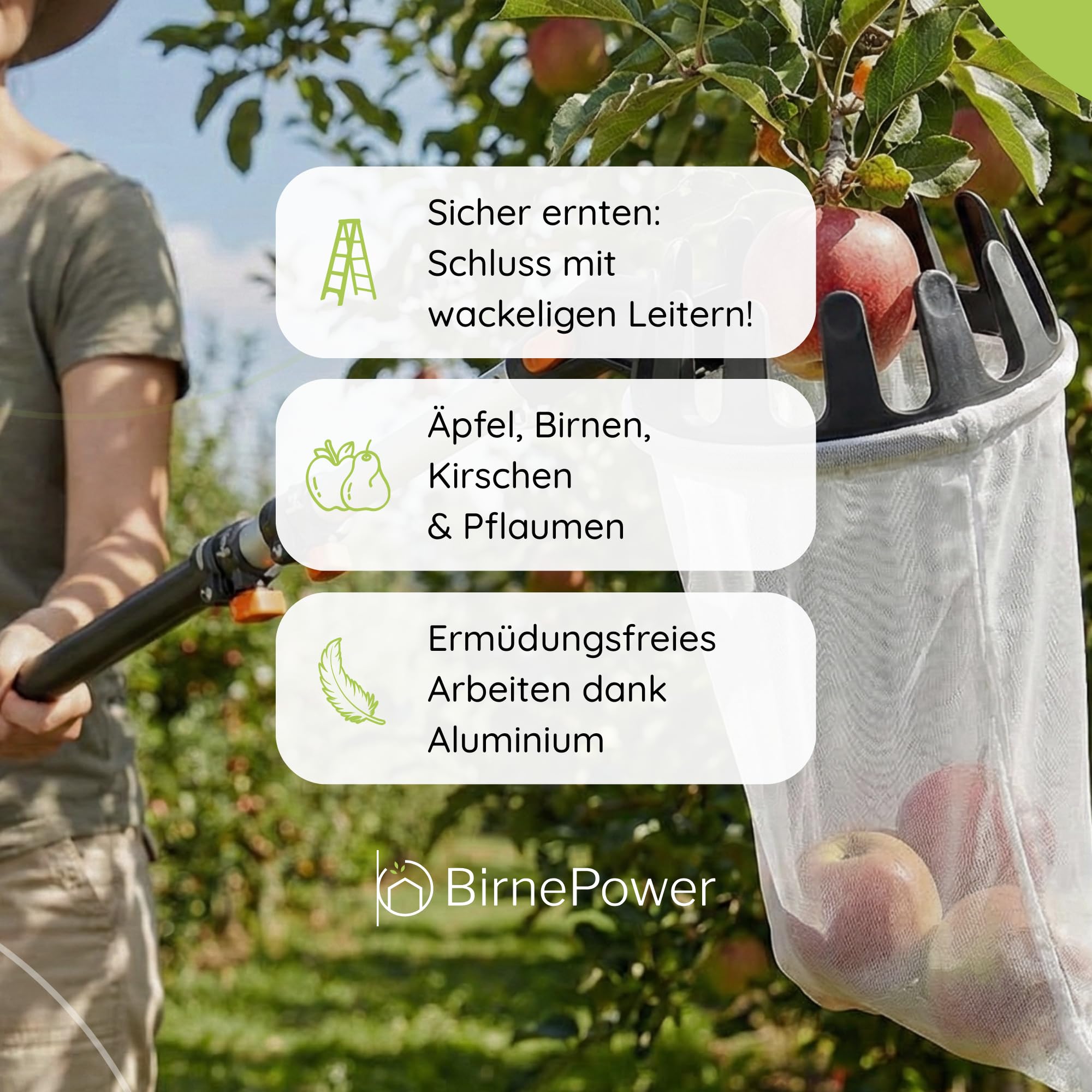BirnePower Obstpflücker mit Teleskopstiel (150-375cm), Apfelpflücker mit integrierter Klinge, Verstellbarer Kopf & Leichter Alu-Stange, Obstsammler