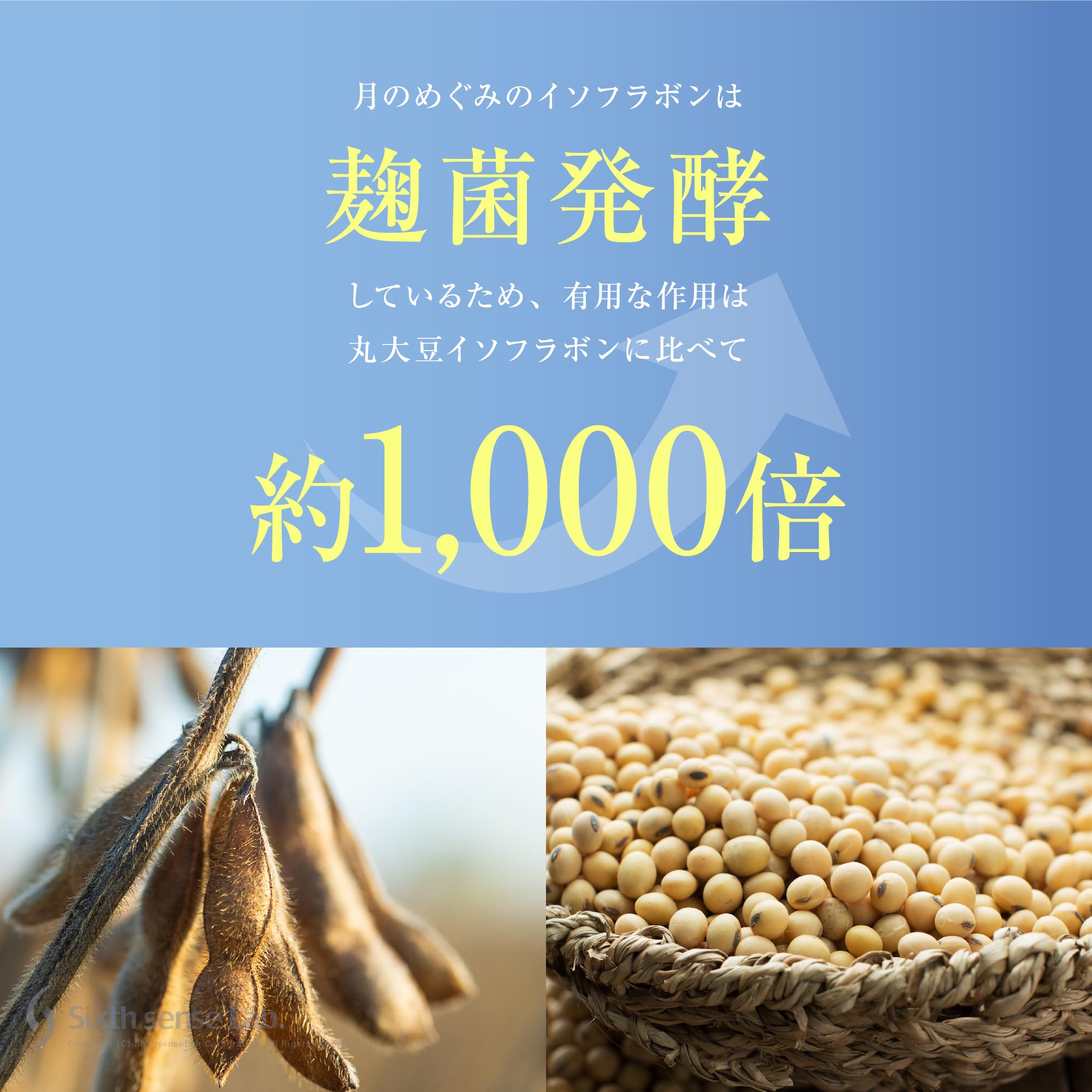 Amazon | TUMUYUI 月のめぐみ 【お得な3袋セット】女性向け 麹菌発酵