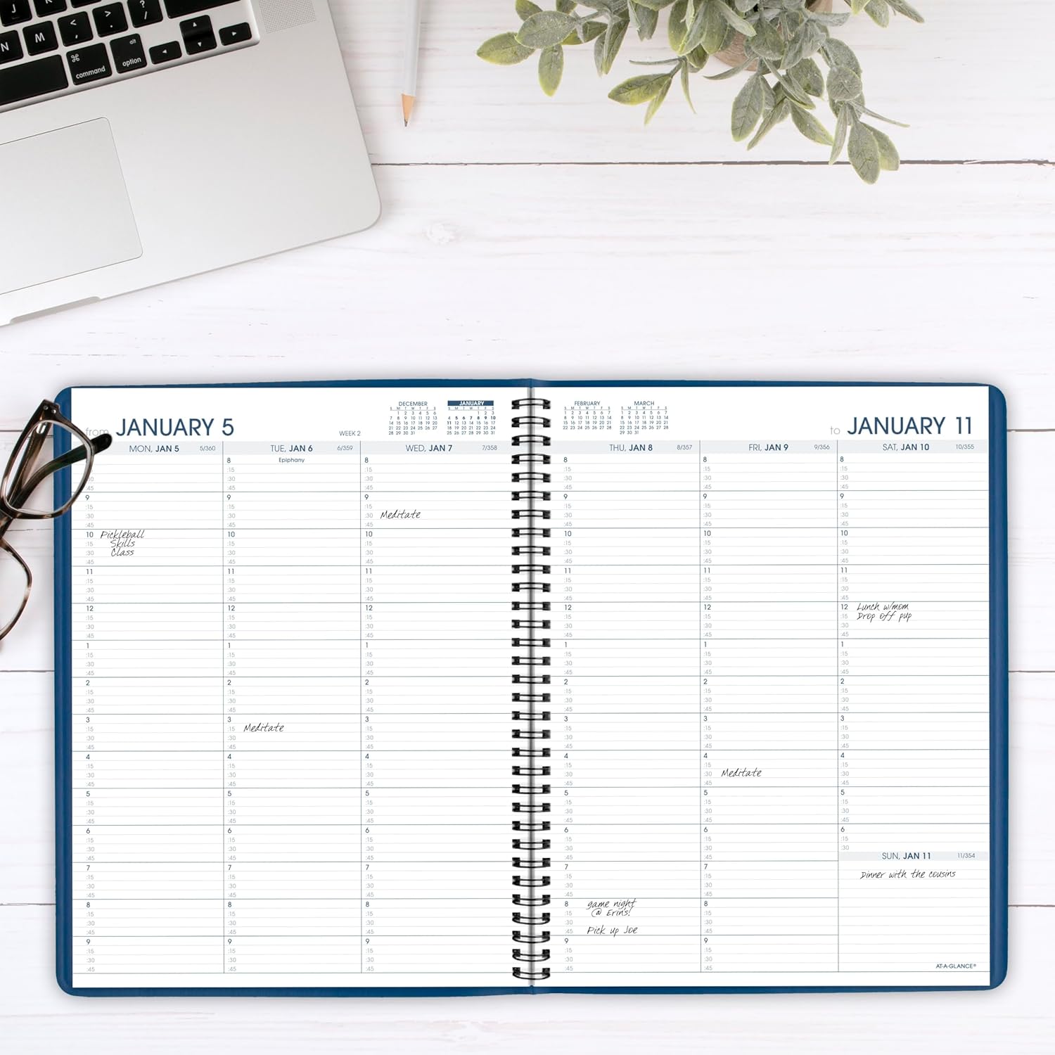 AT-A-GLANCE 2026 Appointment Book Planner, Weekly, 8-1/4" x 11", Large, Blue (709402026)