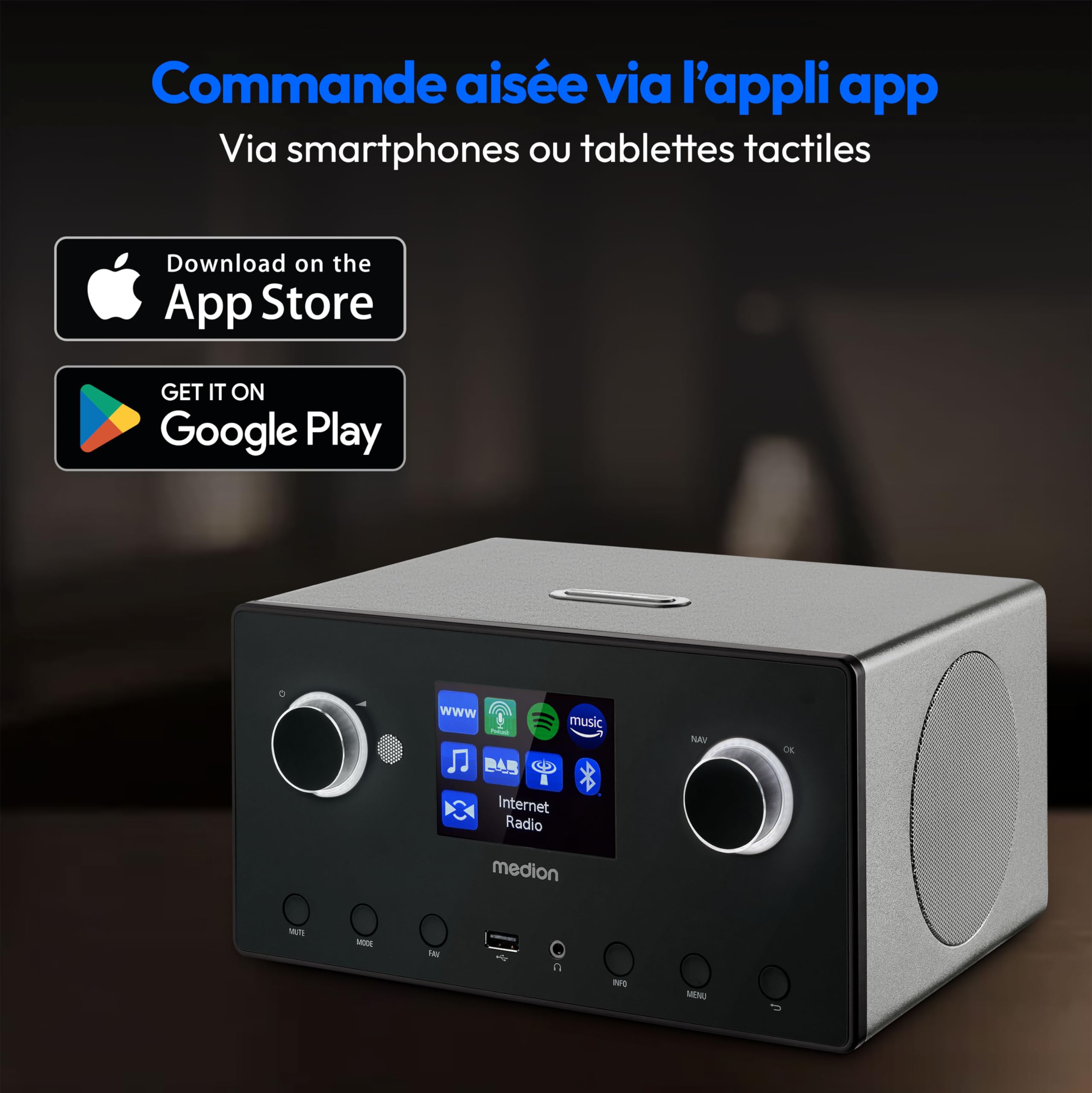 MEDION P85444 2.1 Radio Internet avec Subwoofer (Dab+, Radio FM, Spotify, WiFi, Bluetooth, Streaming, égaliseur, écran Couleur, USB, AUX, Réveil, Fonction Snooze, Sleep Timer) Titane