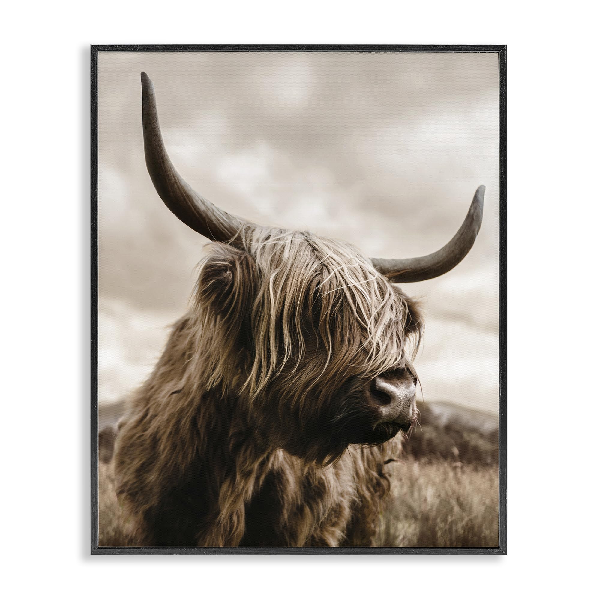 Stupell Industries 'Highland Cow on Windswept Moor', Framed Giclee Art, Black, 24 x 30 Inches, Easy to Hang and Sturdy, Made in USA, by CAD Designs
