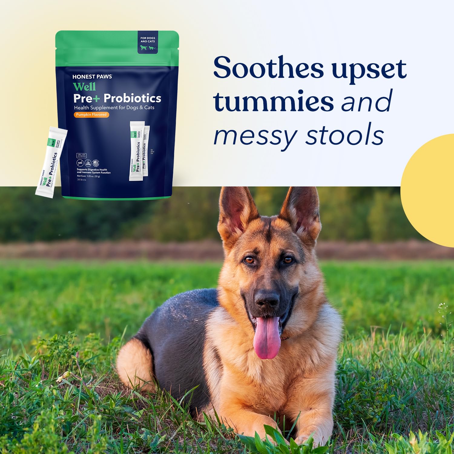 Honest Paws Probiotics for Dogs - Dog Digestion Gut Health Probiotic Powder with Prebiotic Made in The USA, Digestive and Immune Support - Digestive Enzymes with Pumpkin Flavor (30 Sticks) - image 8