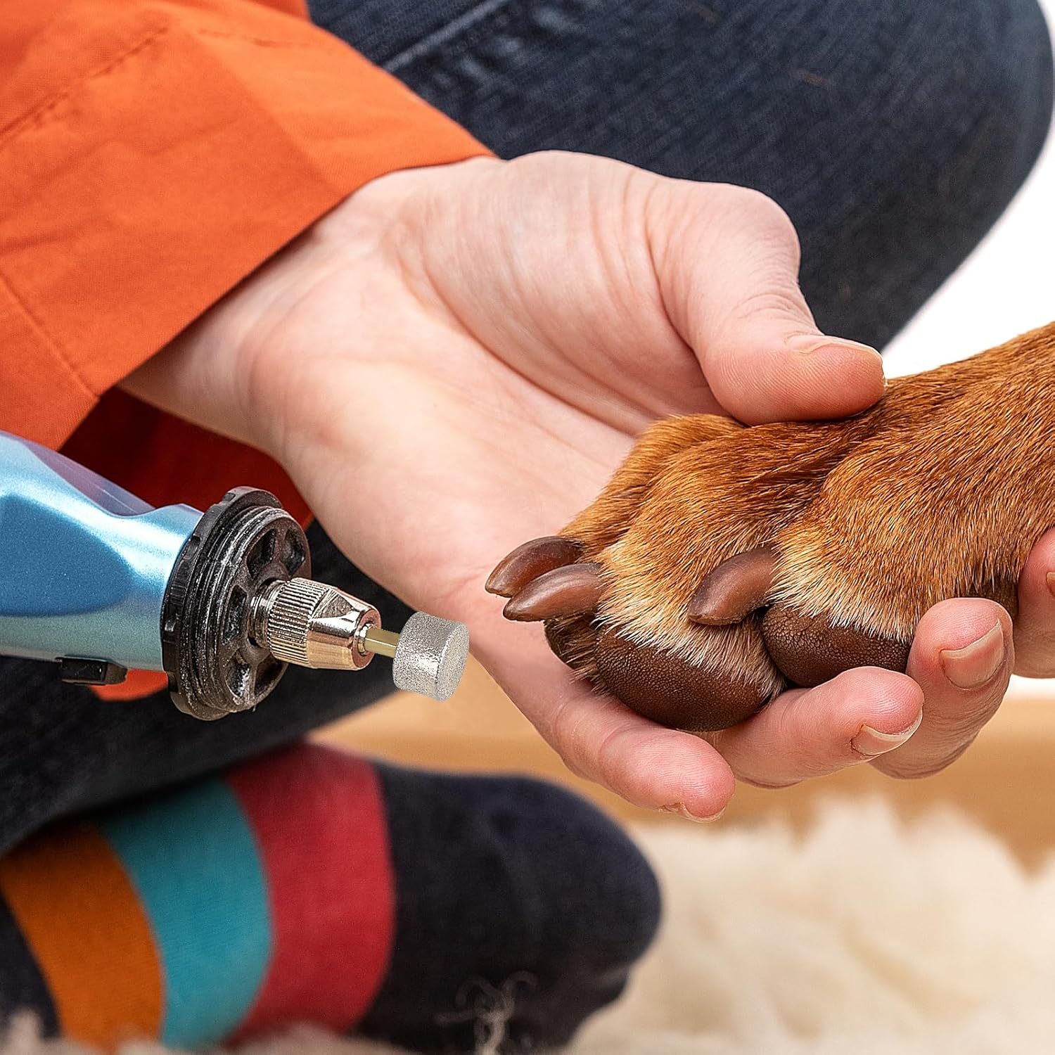 Upgrade Your Pet Grooming: iPlusmile Nail Grinder Replacement Heads Review