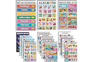 DeeDee's Workshop Spanish Classroom Posters Enliven Spanish-Learning Journey