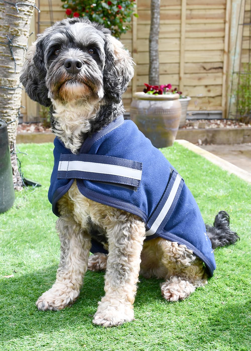 Rhinegold Dog Fleece-14(35cm)-Navy