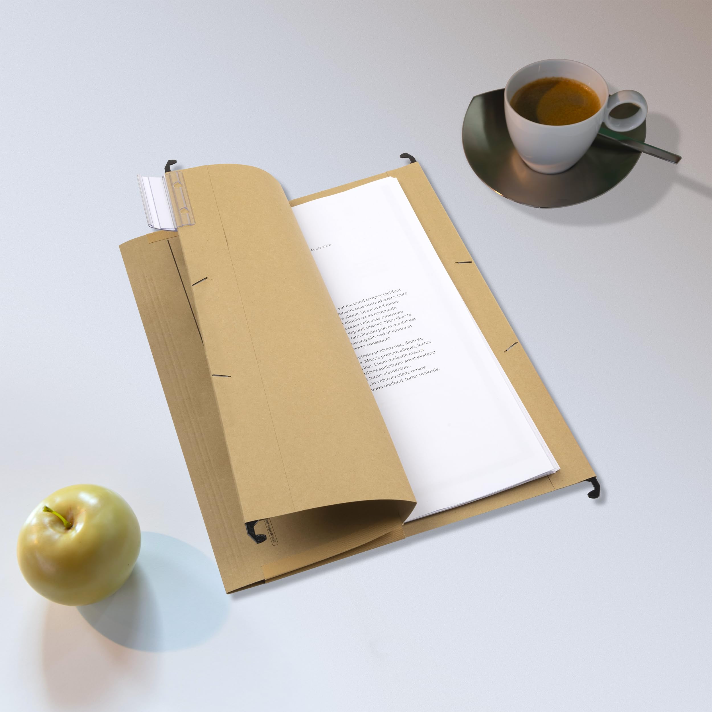Hängetaschen für A4, Hängeregister, mit Leinenfröschen, inkl. Vollsichtreitern, braun, 25 Stück
