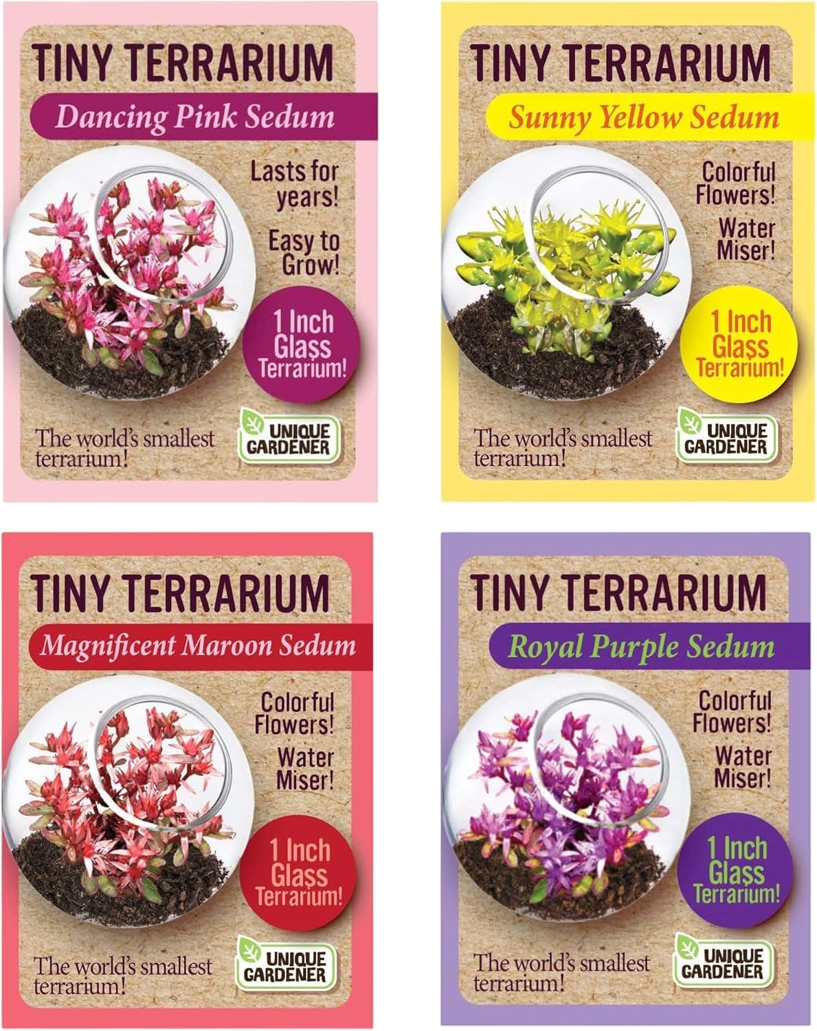Terrarium Seeds