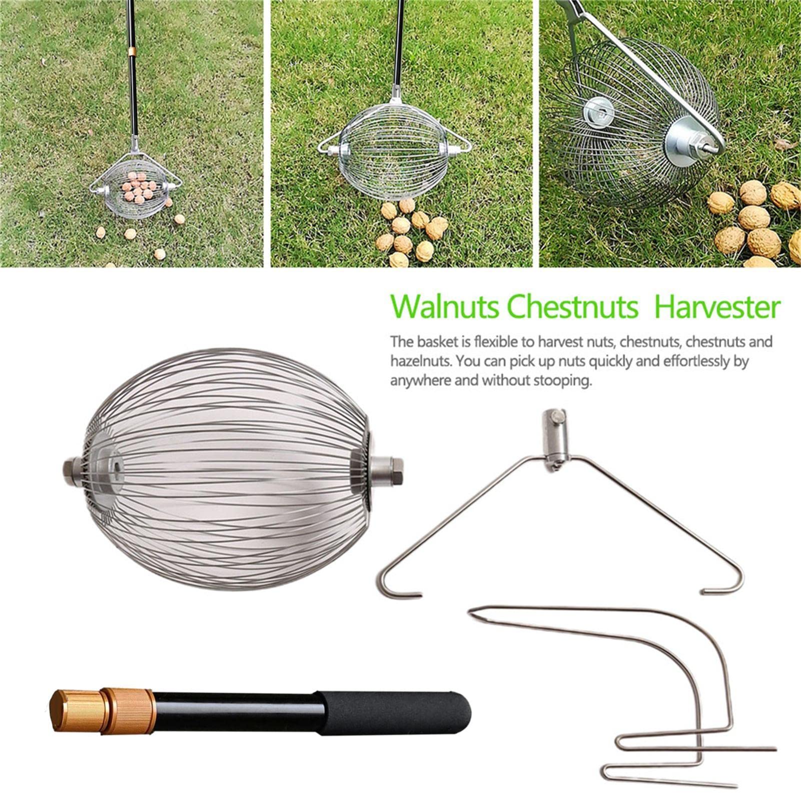 Pince Ramasse Objet Rouleau Collecteur De Noix | Haut De Ramasse-noix Réglable | Outil De Collecte De Jardin Utile Pour La Maison, La Maison, Le Jardin, L'arrière-cour Pour Noix, Glands, Noix De