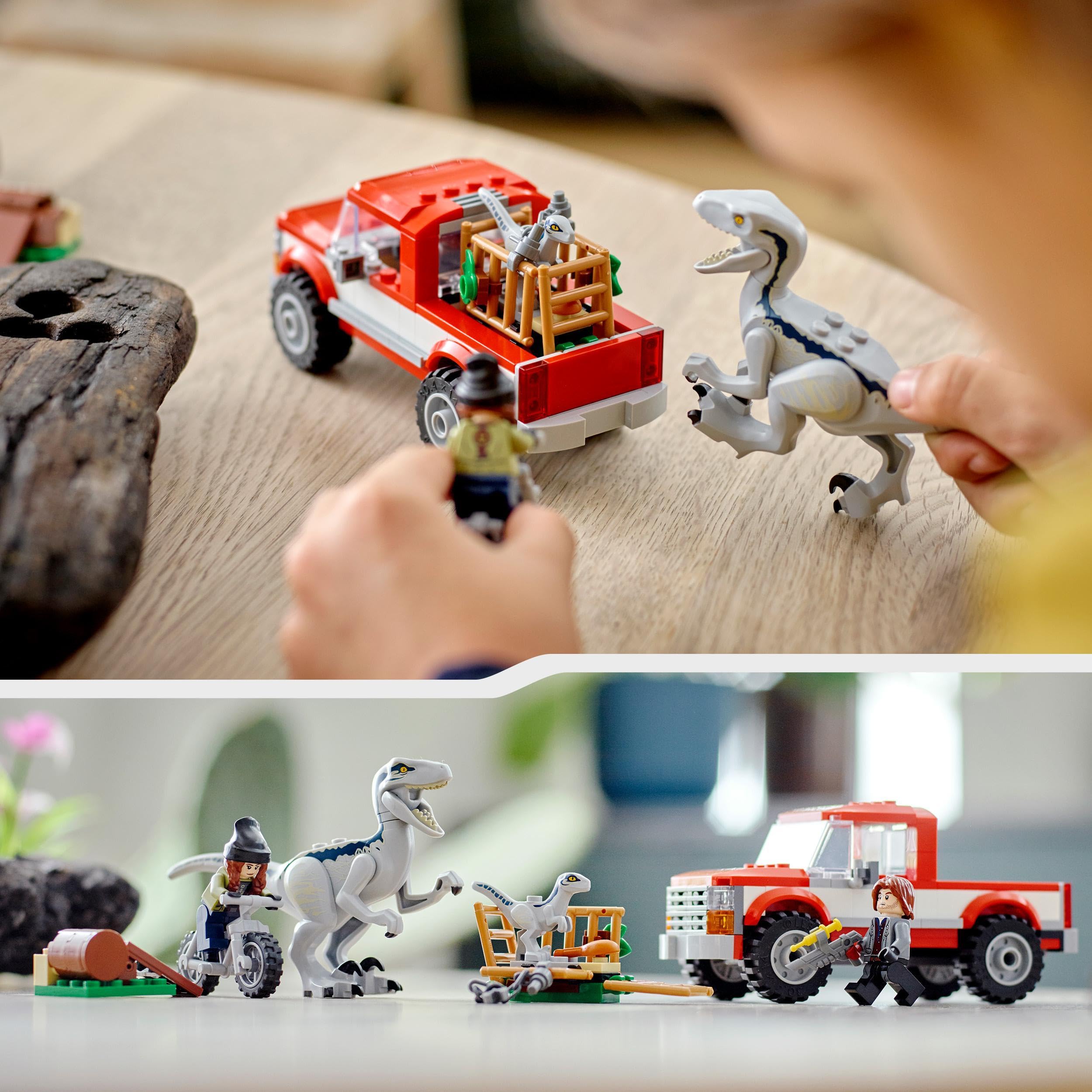 LEGO 76946 Jurassic World Schwytanie Welociraptorów Blue i Bety, Zestaw Konstrukcyjny z Minifigurkami dla Młodych Miłośników Dinozaurów, dla Chłopców i Dziewczynek od 6 lat