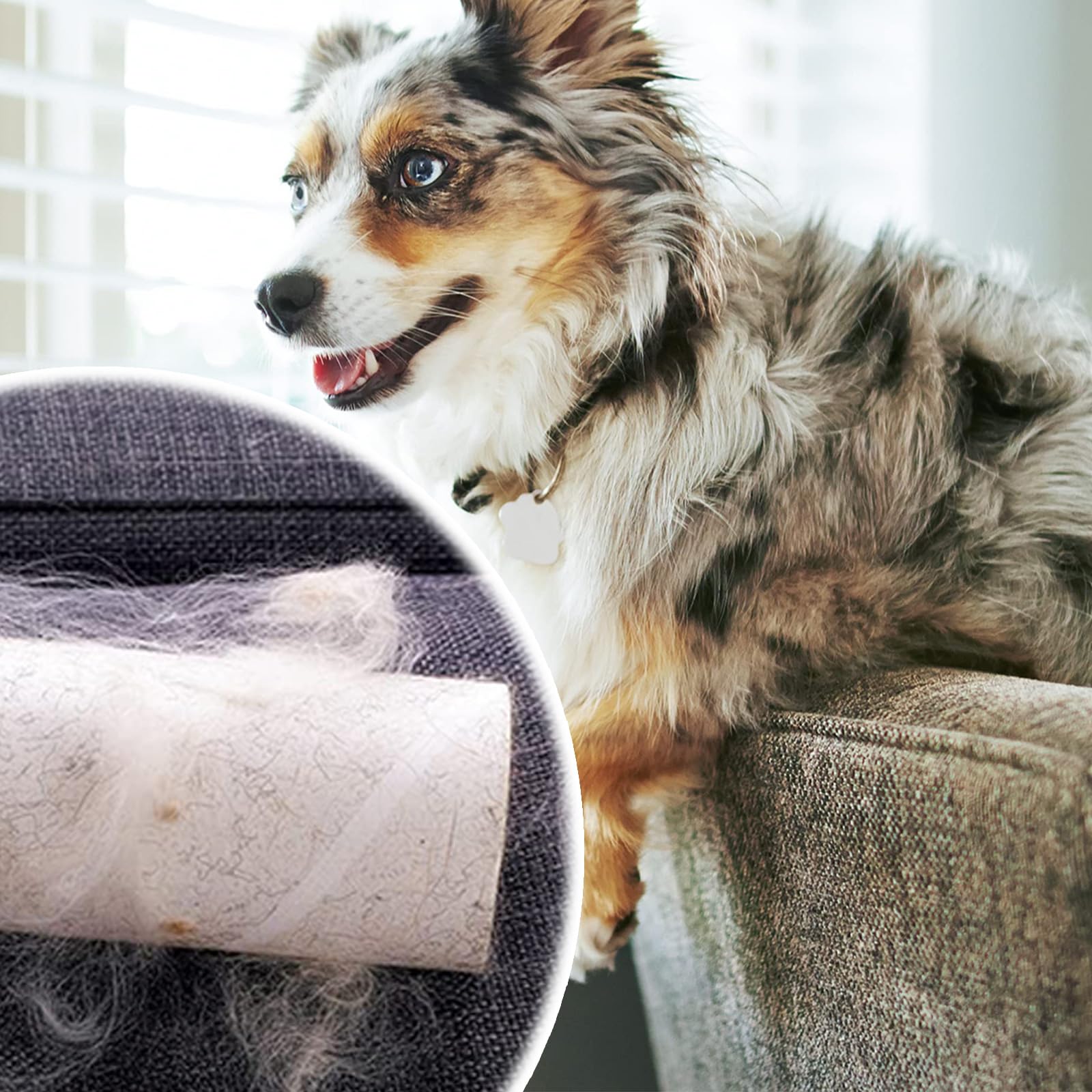 Cat & Dog Brush - Double Sided Undercoat Rake - Grooming and Deshedding Tool for Dogs and Cats with Medium or Long Hair - Image 2