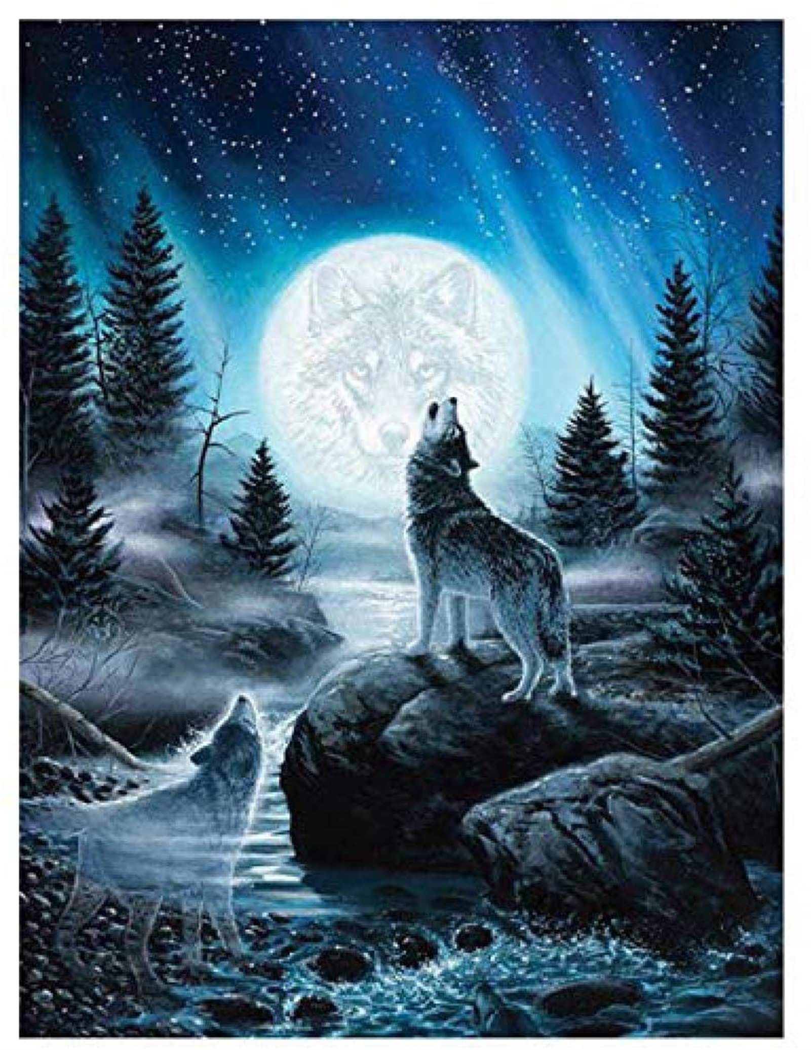 WOWDECOR Malen-nach-Zahlen-Set – Ölgemälde 'Indisches Mädchen, Federpferde, Mond', 40,6x50,8 Cm (gerahmt), Für Erwachsene & Kinder