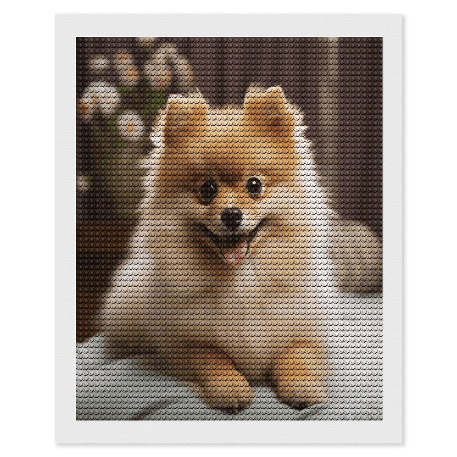 VstaDank Cute Pomeranian Dog Diamond Painting Kits Exquisite DIY Full Round Drill Diamond Dots Painting for Adults Beginner Diamond Photo Paint with Diamond Picture Art Wall Decor 16"x20"