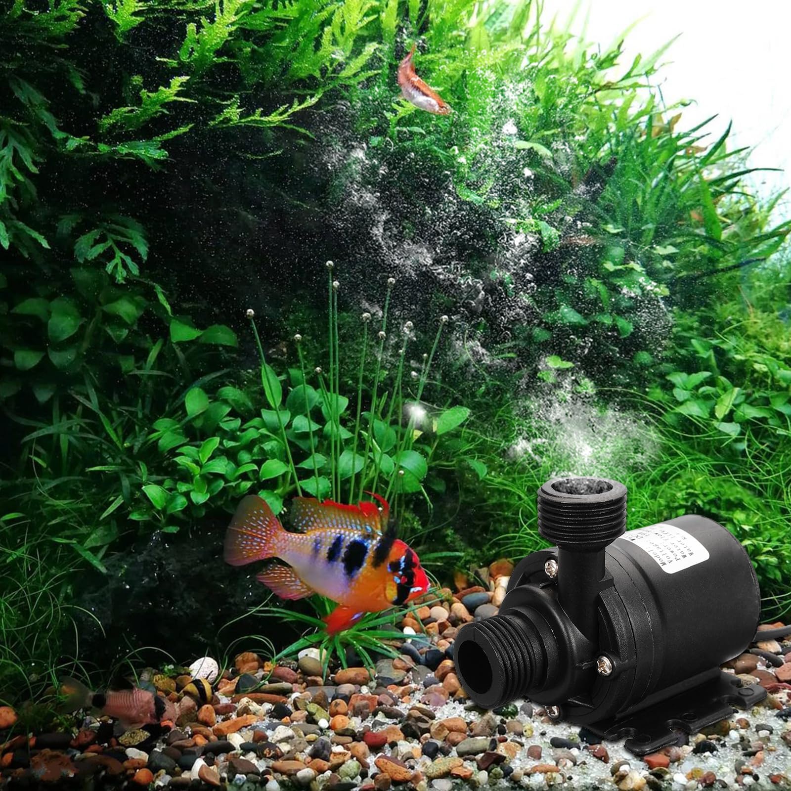 Pompe Solaire Pour Bassin DC 12V 800L/H 5m De Pompe à Eau Submersible, Sans Balais Pour Système De Circulation D'eau Système De Circulation Solaire Pour Circulation De L'eau De Piscine De Fontaine