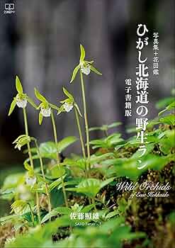 自然と野生ラン　30冊 自然と野生ラン30冊