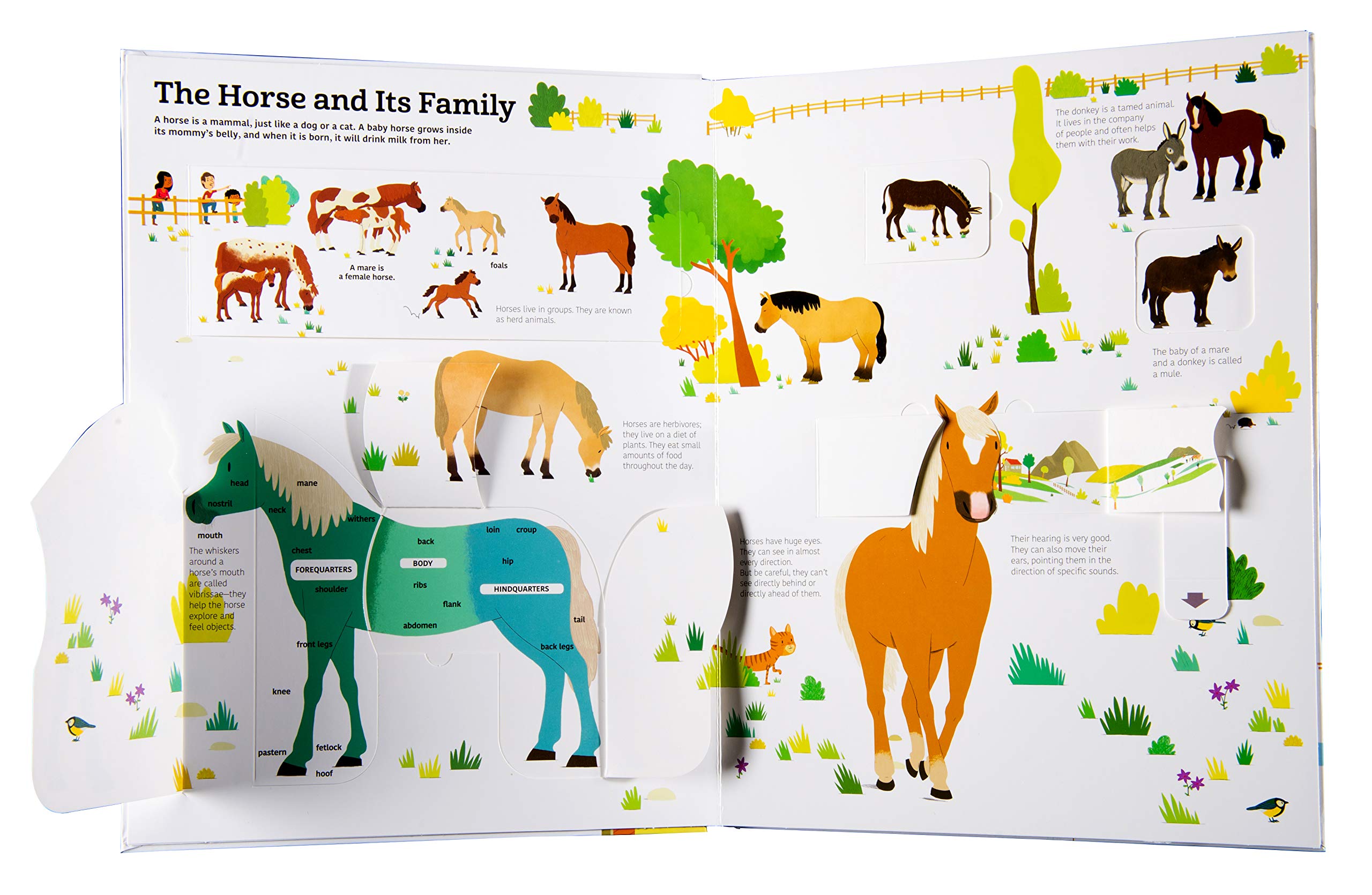 The Ultimate Book of Horses - Image 3