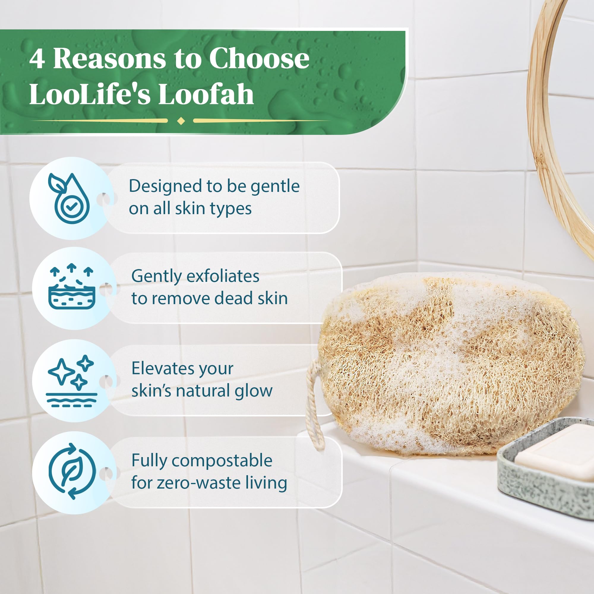 Esponja exfoliante natural de lufa (3 unidades) – Lufa orgánica para el cuerpo – Luffa de ducha biodegradable – Esponjas de baño naturales Loufa – Estropajos para el cuerpo
