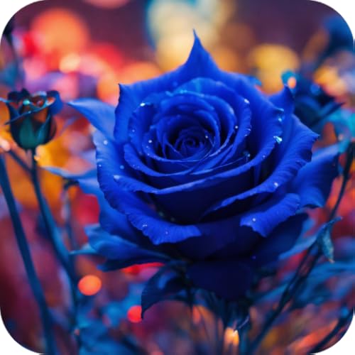 Fondos de pantalla de flores HD