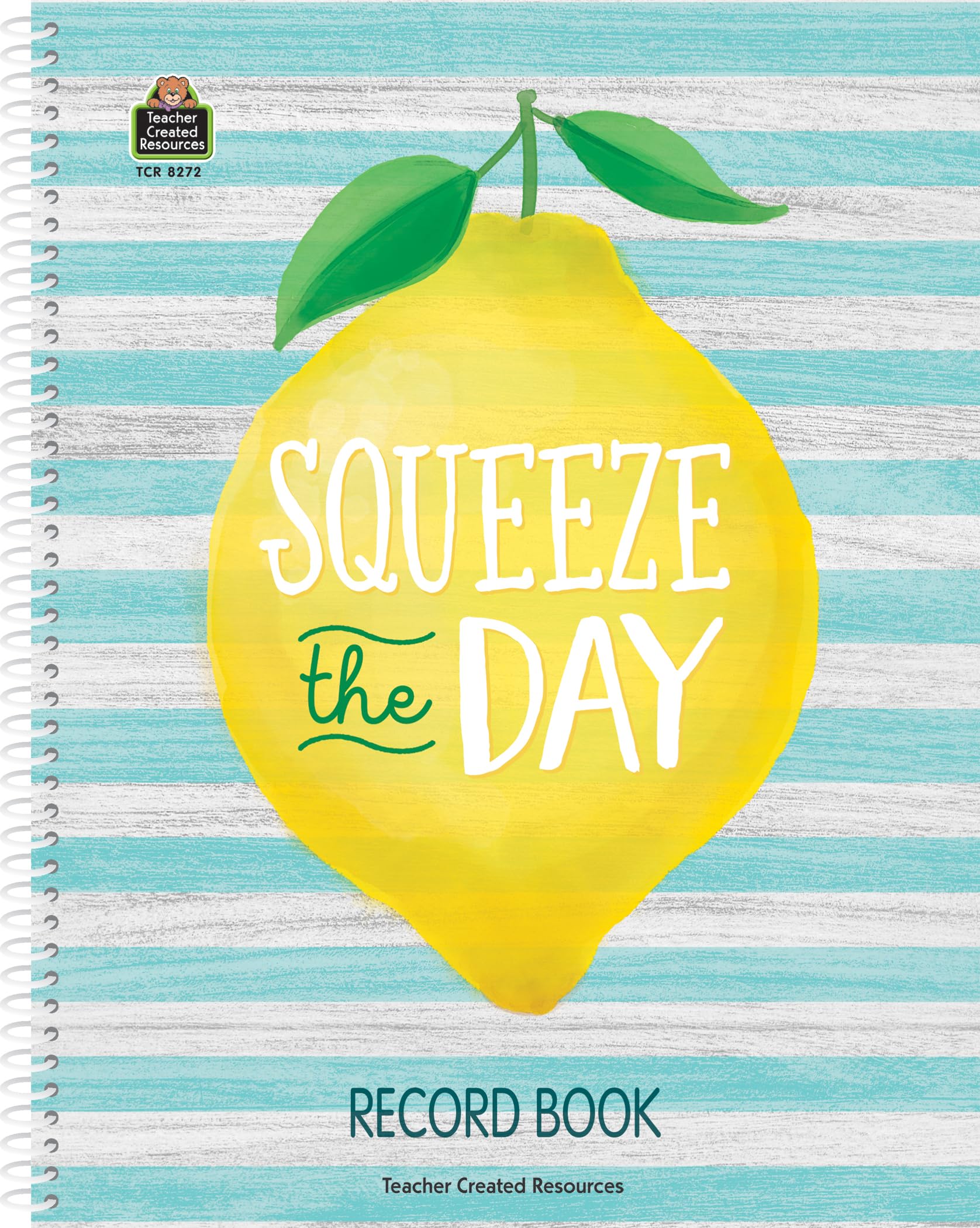 Teacher Created Resources ​Lemon Zest Record Book (TCR8272)