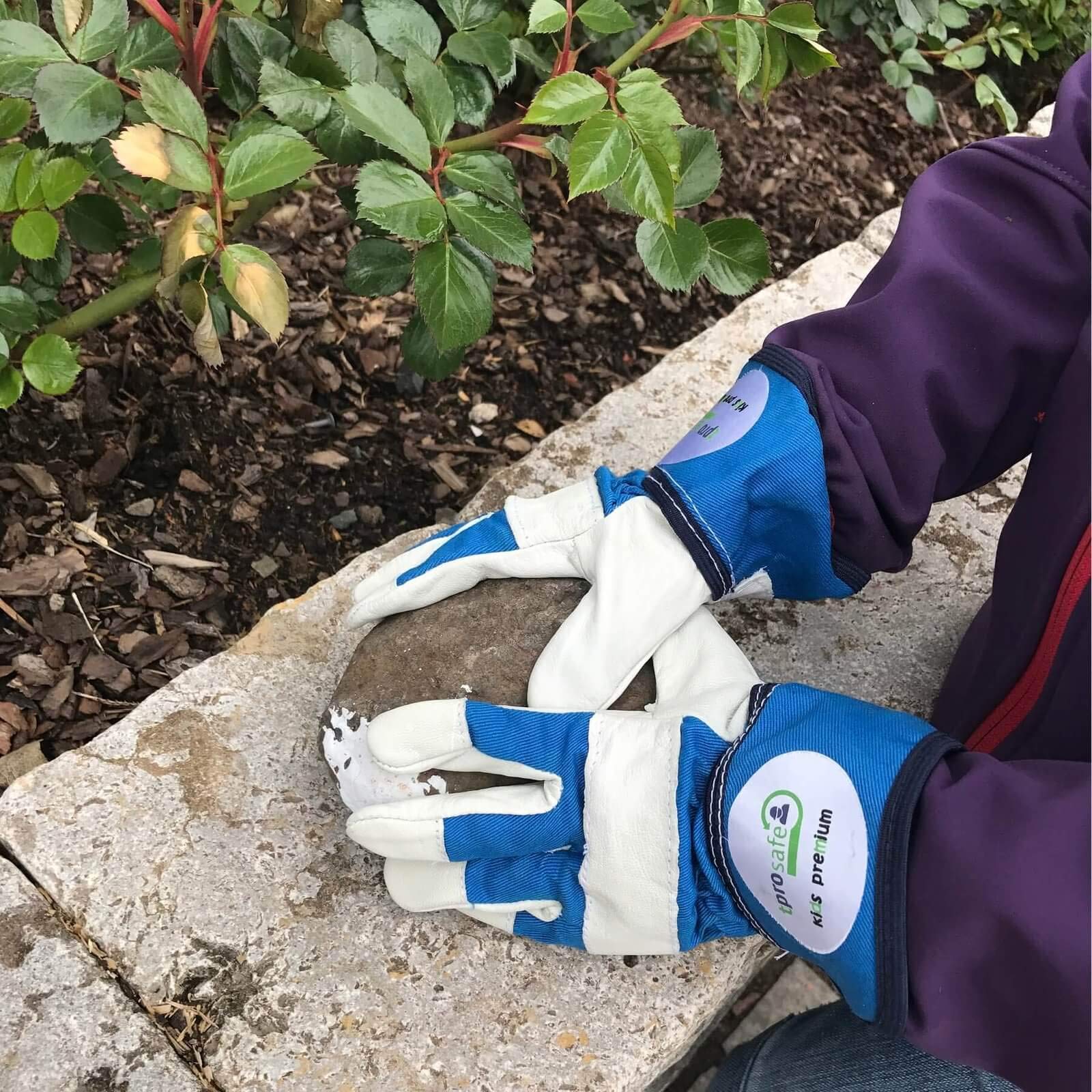 tprosafe Kinderhandschuhe - für kleine Hände, strapazierfähig - VPE 60 Paar