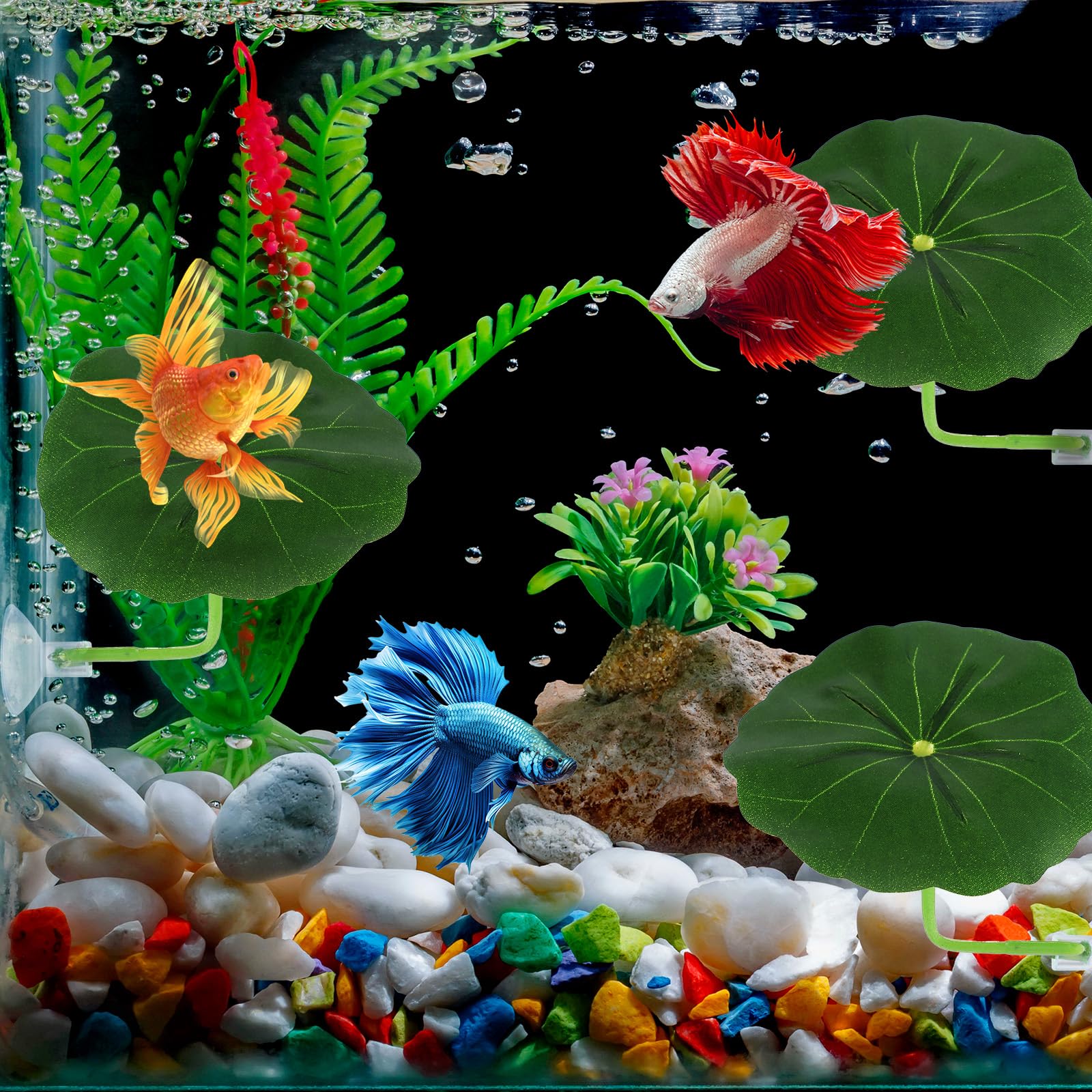 Xinjoduz Pack de 3 accessoires pour aquarium de poisson betta, Hamac en plastique pour aquarium avec coussin en forme de feuille pour décoration d'aquarium, décoration d'aquarium sûre et douce avec
