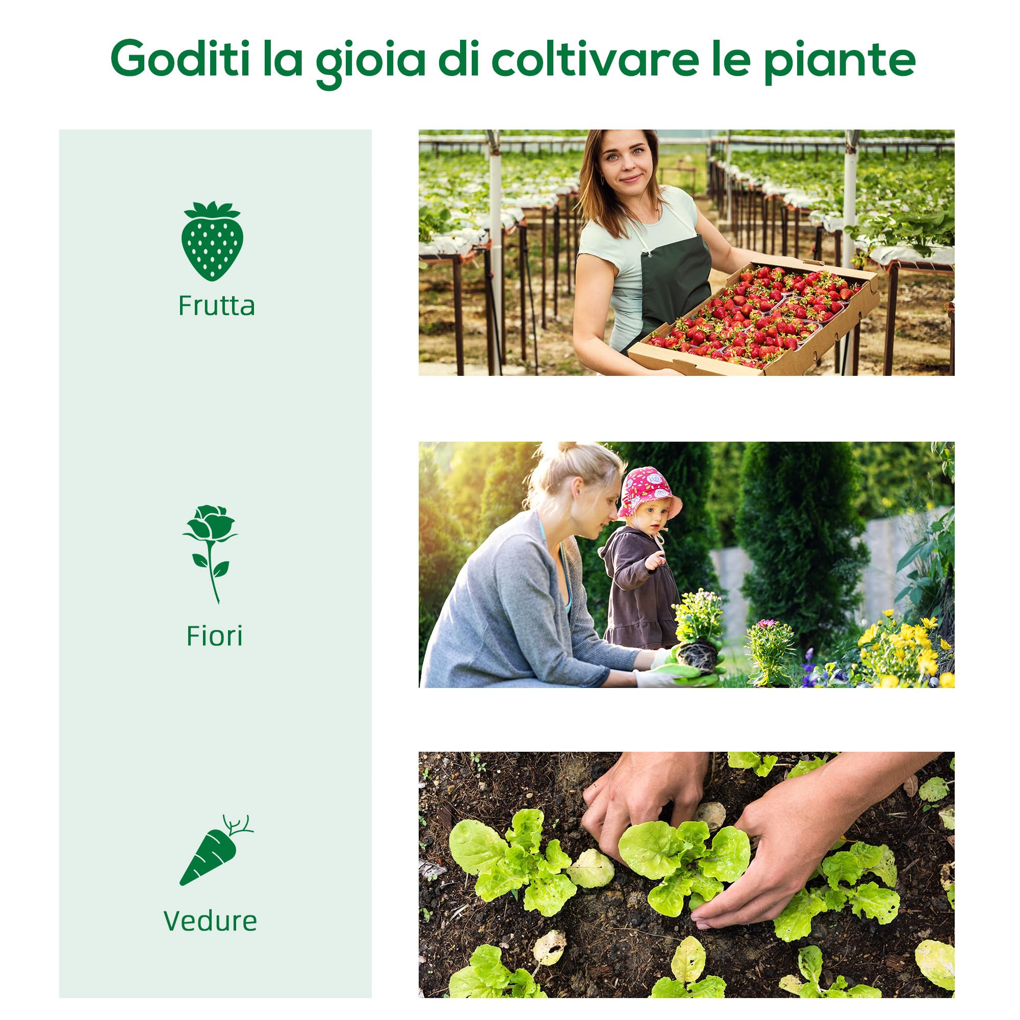 Outsunny Serra da Balcone a 4 Ripiani con Porta Avvolgibile, Serra per Orto con Struttura in Acciaio e Copertura PE, per Piante Orto Verdure Fiori Frutta, Anti UV, 80x50x160 cm, Bianco