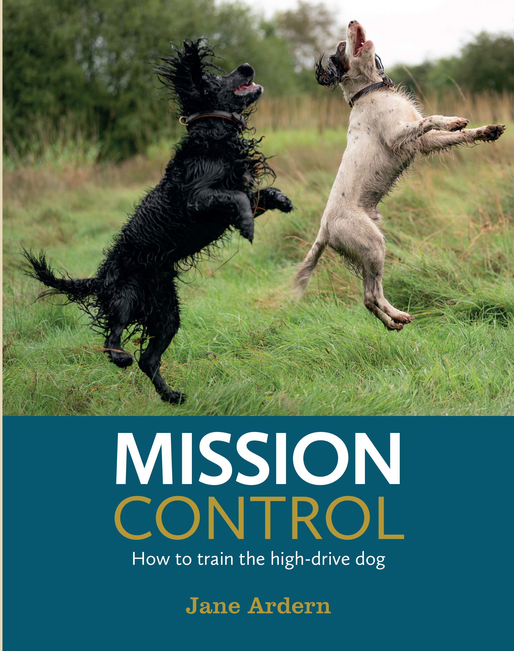 Mission Control: How To Train The High-Drive Dog - 4