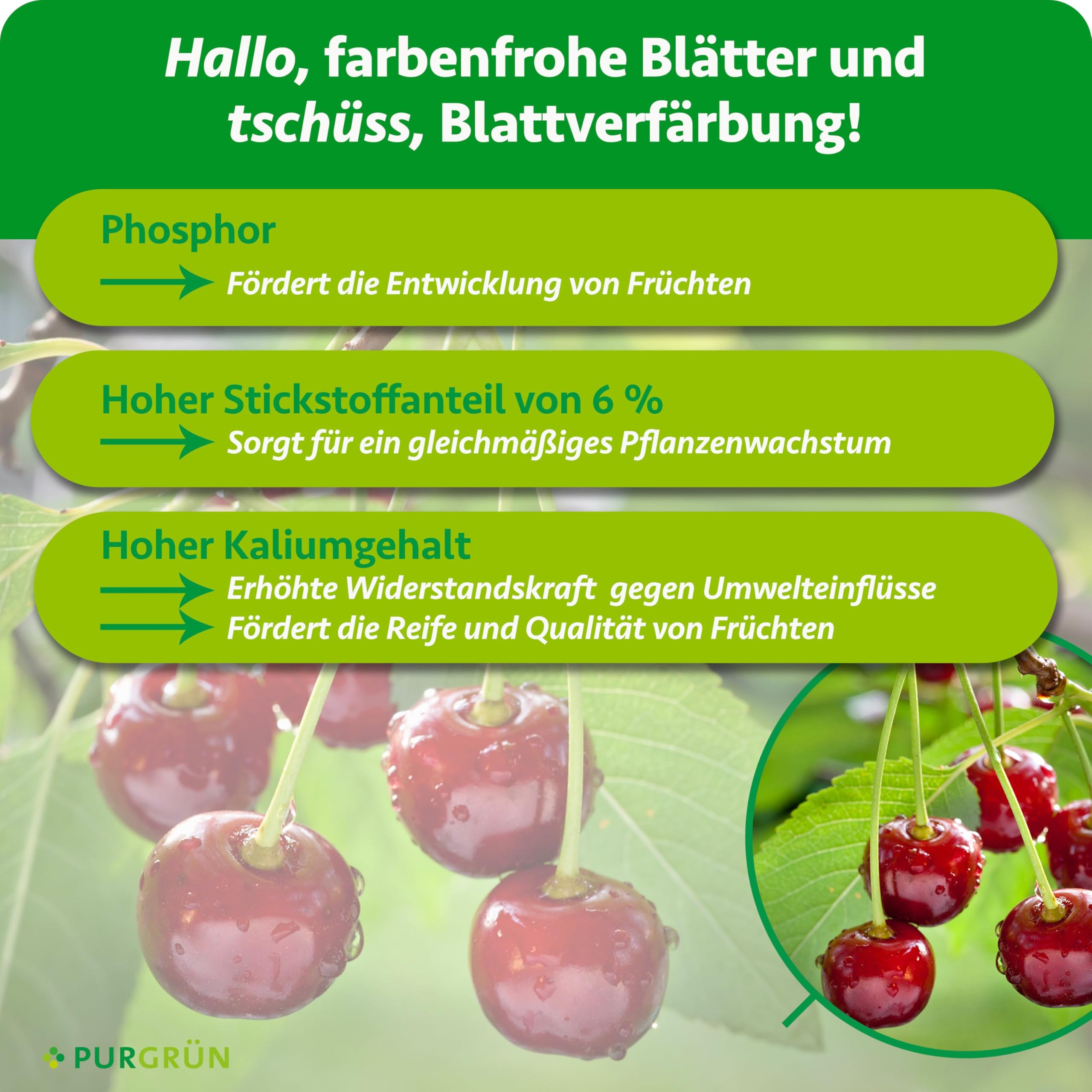 Bio-Kirschbaum-Dünger 1 kg – Organisch-mineralische Rezeptur – Feinkörniges Krümelgranulat – NPK 6+4+5 – Mit Magnesium für saftige, süße Kirschen – Verbessert die Bodenqualität