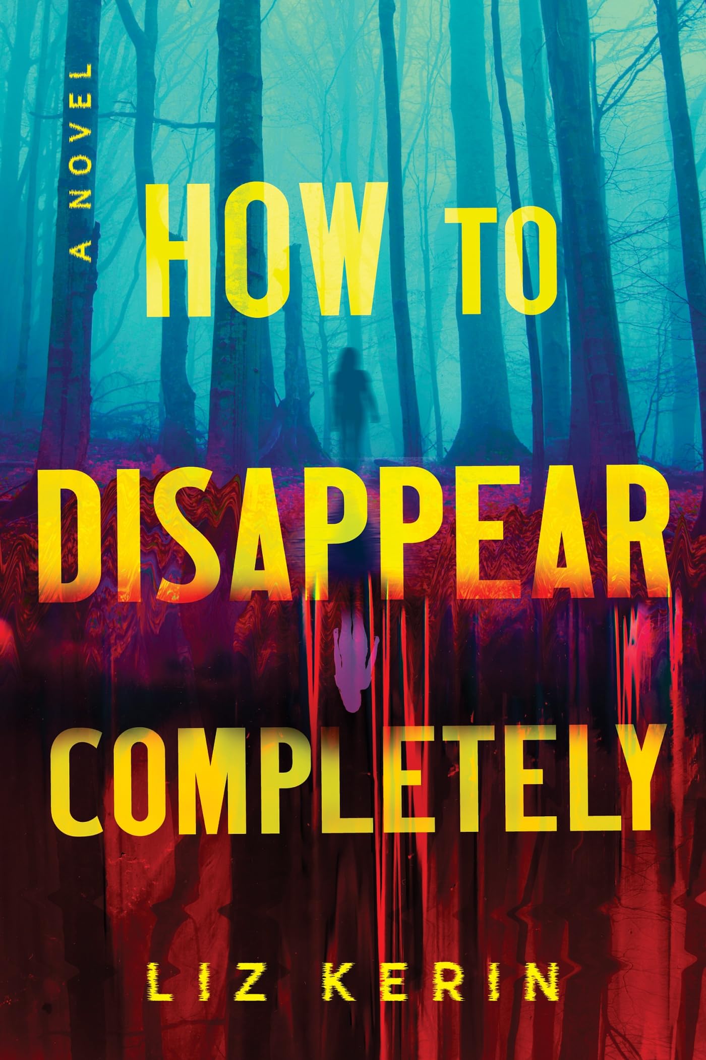 How to Disappear Completely: A Novel
