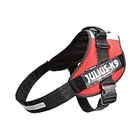 Julius-K9, Pettorina IDC Power