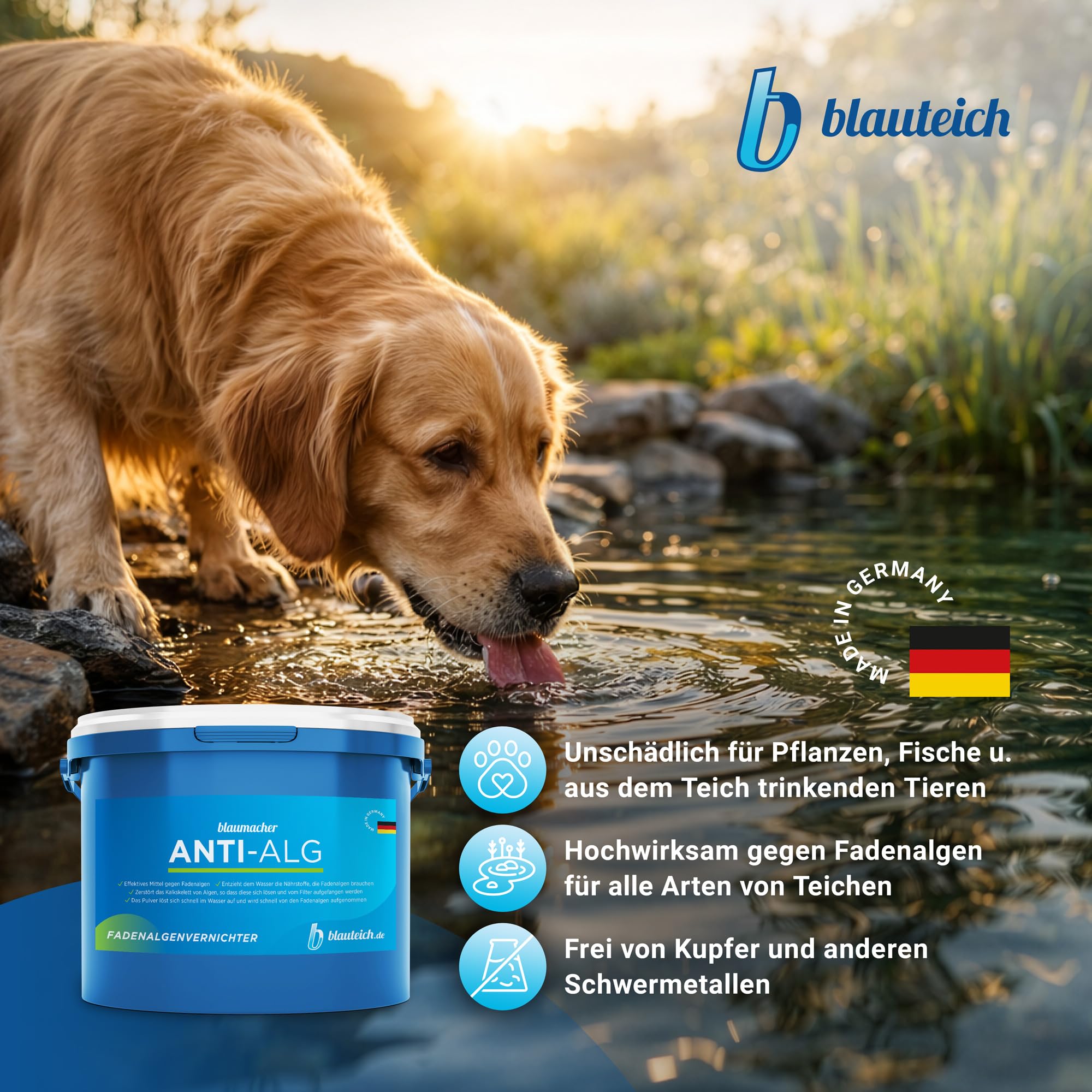 blaumacher Anti-ALG Fadenalgenvernichter für Gartenteiche – Startbehandlung für bis zu 20.000 Liter Teichwasser – 2 kg