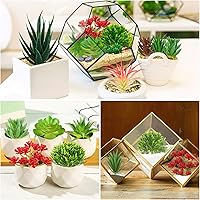 Vista 6 de Plantas suculentas artificiales, 16 plantas suculentas falsas para bricolaje, hogar, pared, jardín, oficina, fiesta, decoración colorida (sin maceta)