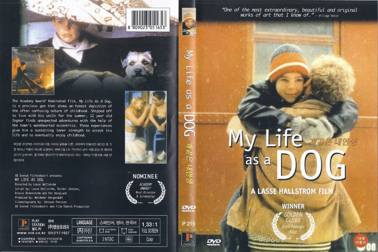 Amazon.com: My Life As A Dog (1985) DVD Lasse Hallström/Anton