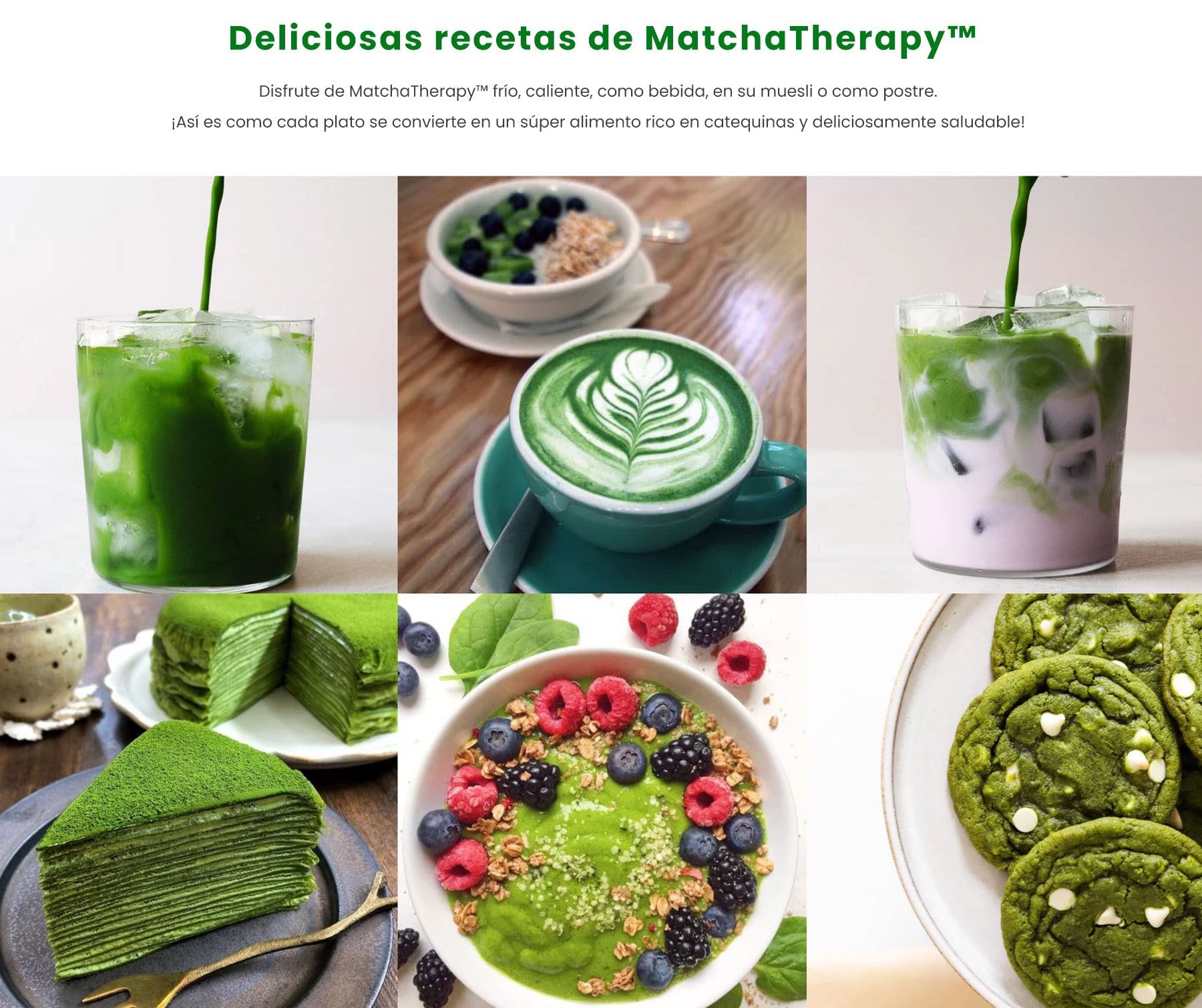 MatchaTherapy 130+ | Té Matcha 100% Ecológico | 60g | Al menos 130 mg/g de contenido de catequina probado EGCG | Apoya el sistema inmune & Nivel de Energia | Grado Premium | Té verde de Japón