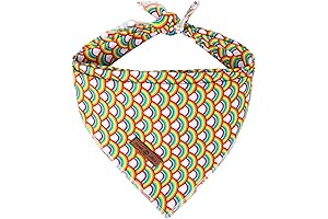 Lionet Paws Rainbow Pride Dog Bandana