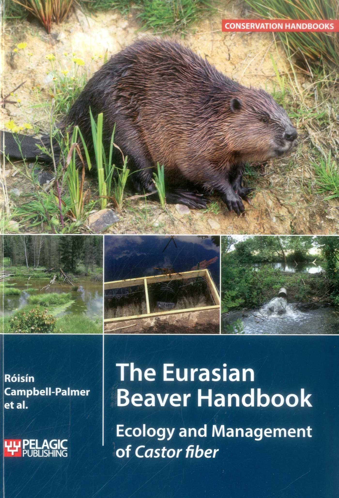 The Eurasian Beaver Handbook: Ecology and Management of Castor Fiber (Conservation Handbooks)