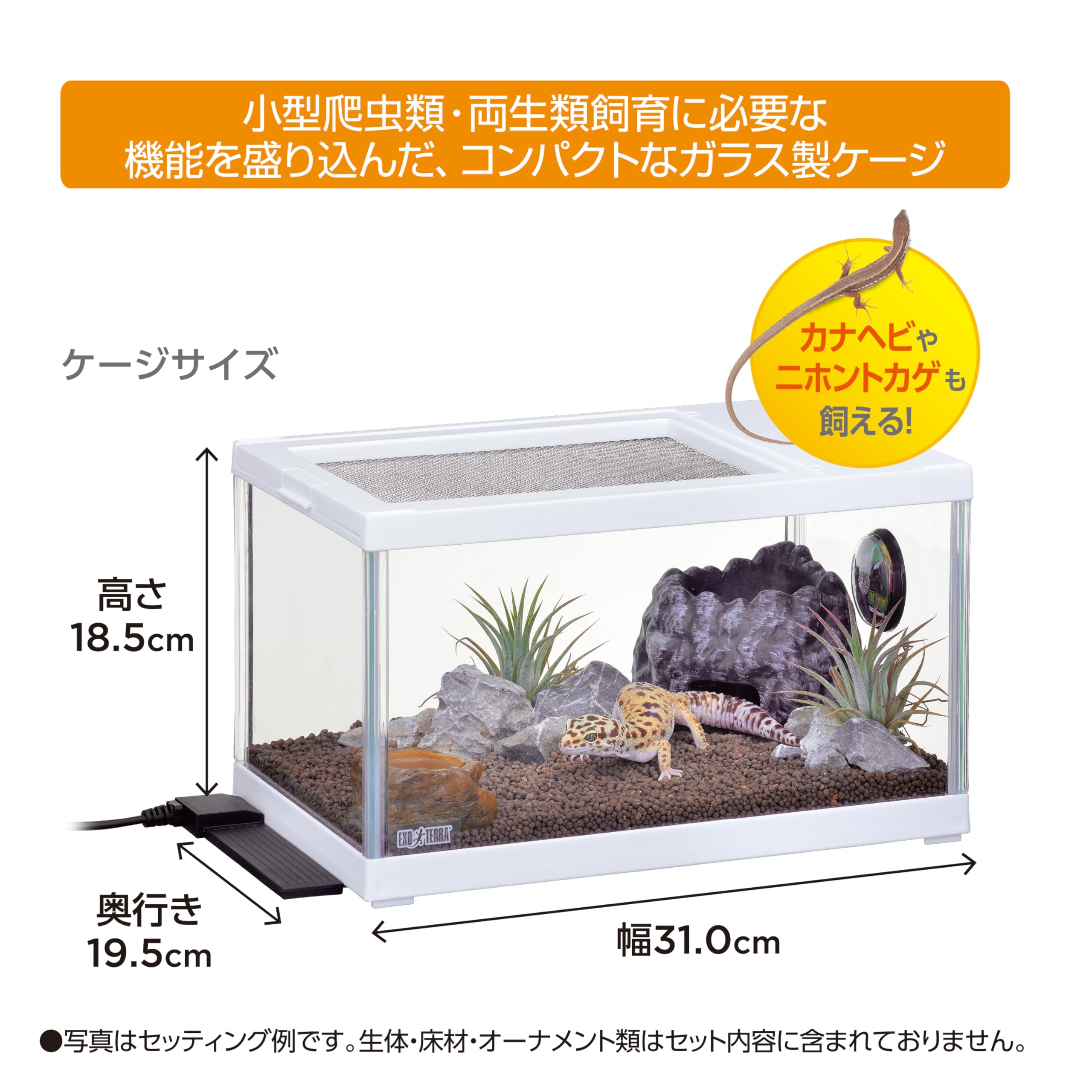 レオパ　飼育ケース　ヒーター　セット Amazon | ジェックス EXO TERRA レプテリア レオパ飼育キットS