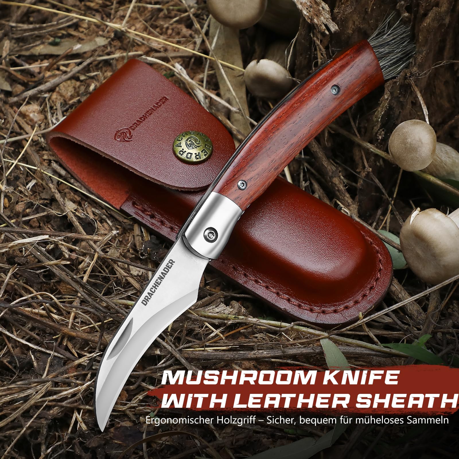 DRACHENADER Couteau champignon N-1, Couteau à champignons avec brosse/pinceau intégré, Liner Lock, étui en cuir, Acier 5Cr14MoV, manche en bois, parfait pour cueillir et nettoyer les champignons