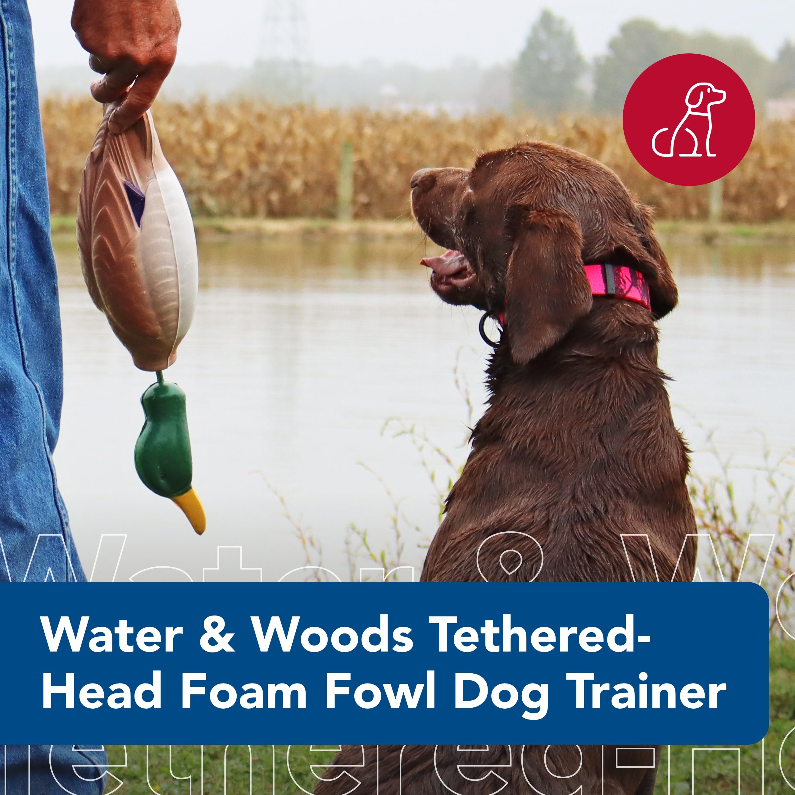 Coastal Pet - Water & Woods Tethered-Head Foam Fowl Dog Trainer, Mallard, Small