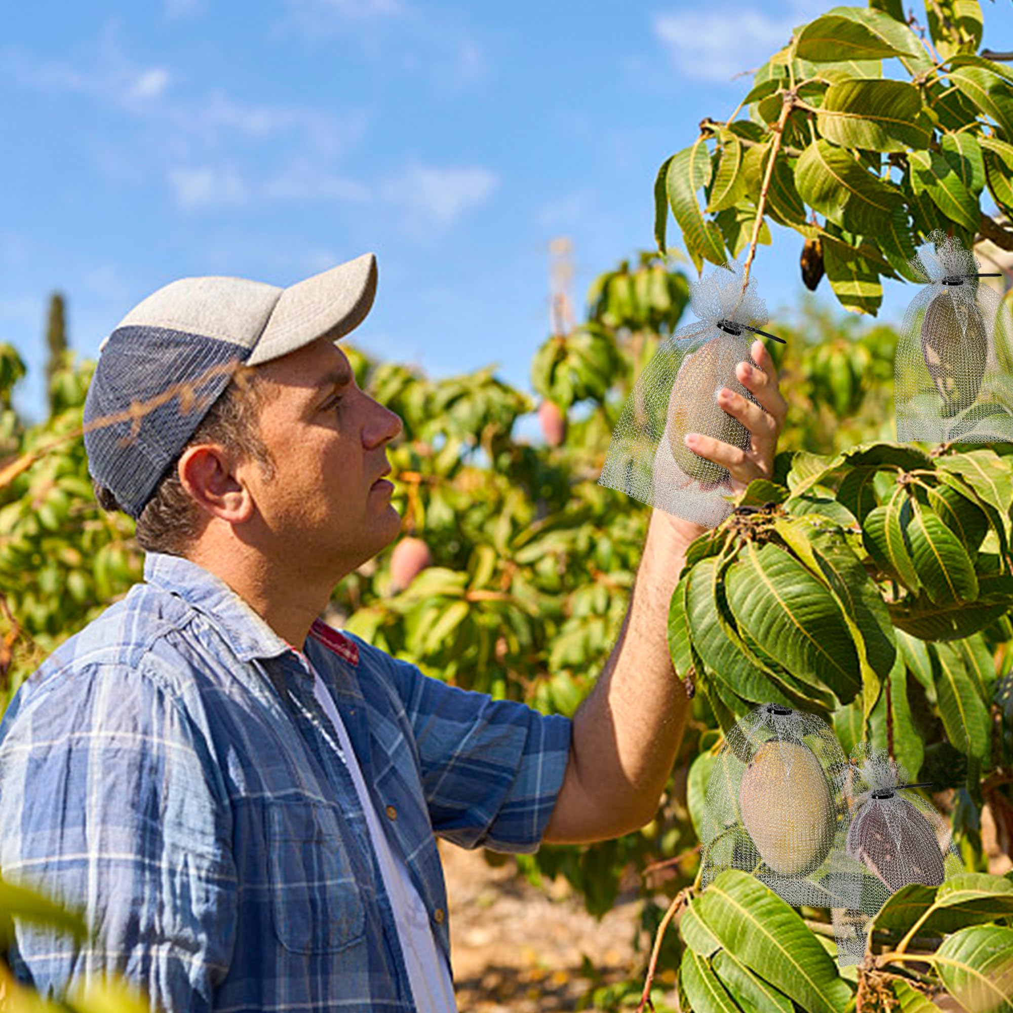 moonoom 20 bolsas de protección de frutas de acero inoxidable, 2 tamaños de bolsa de protección de frutas con cierre de cremallera, bolsas de alambre reutilizables para proteger frutas, bayas, raíces