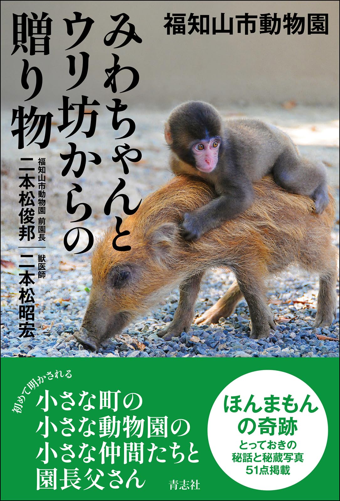 福知山市動物園 みわちゃんとウリ坊からの贈り物 | 二本松 俊邦