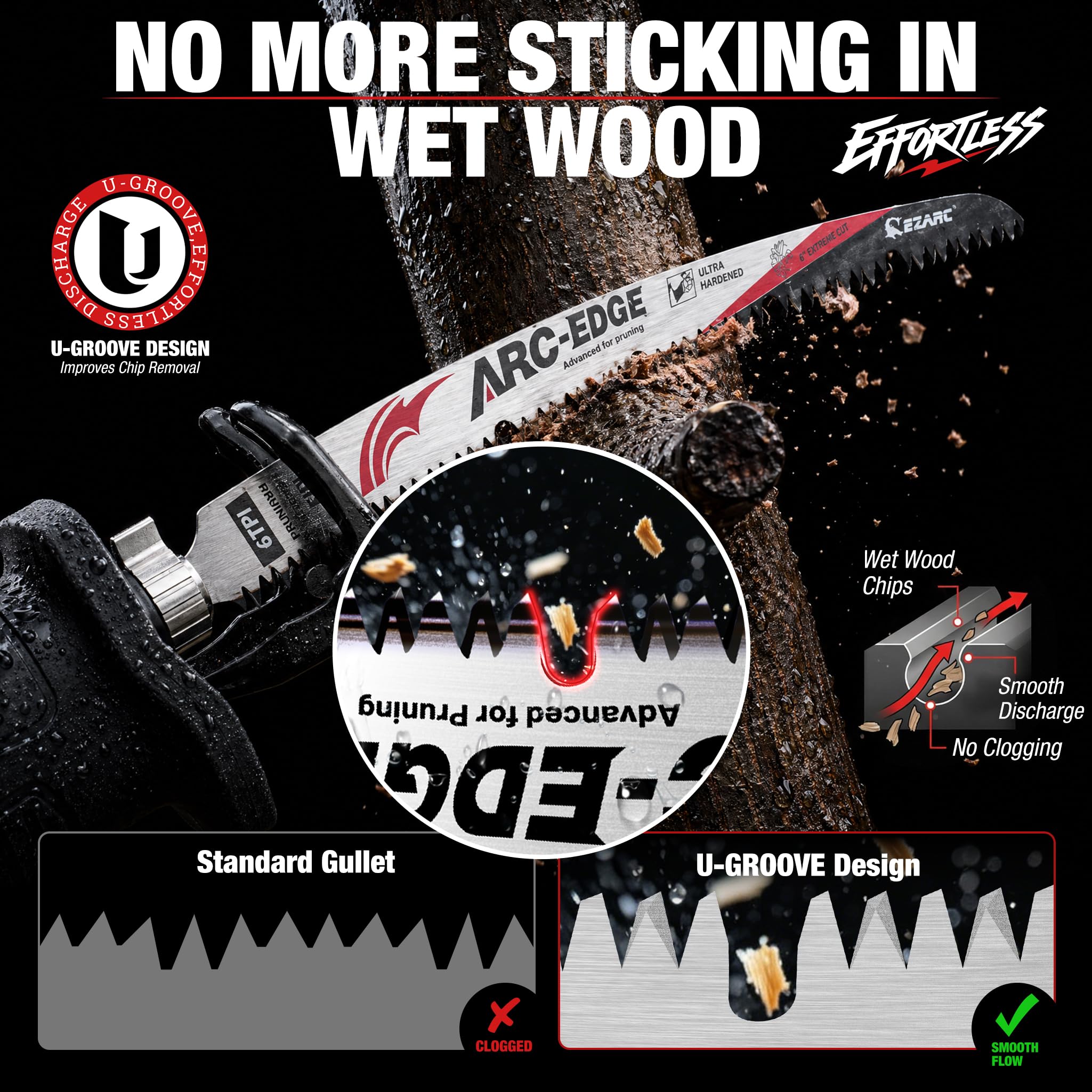 View 5