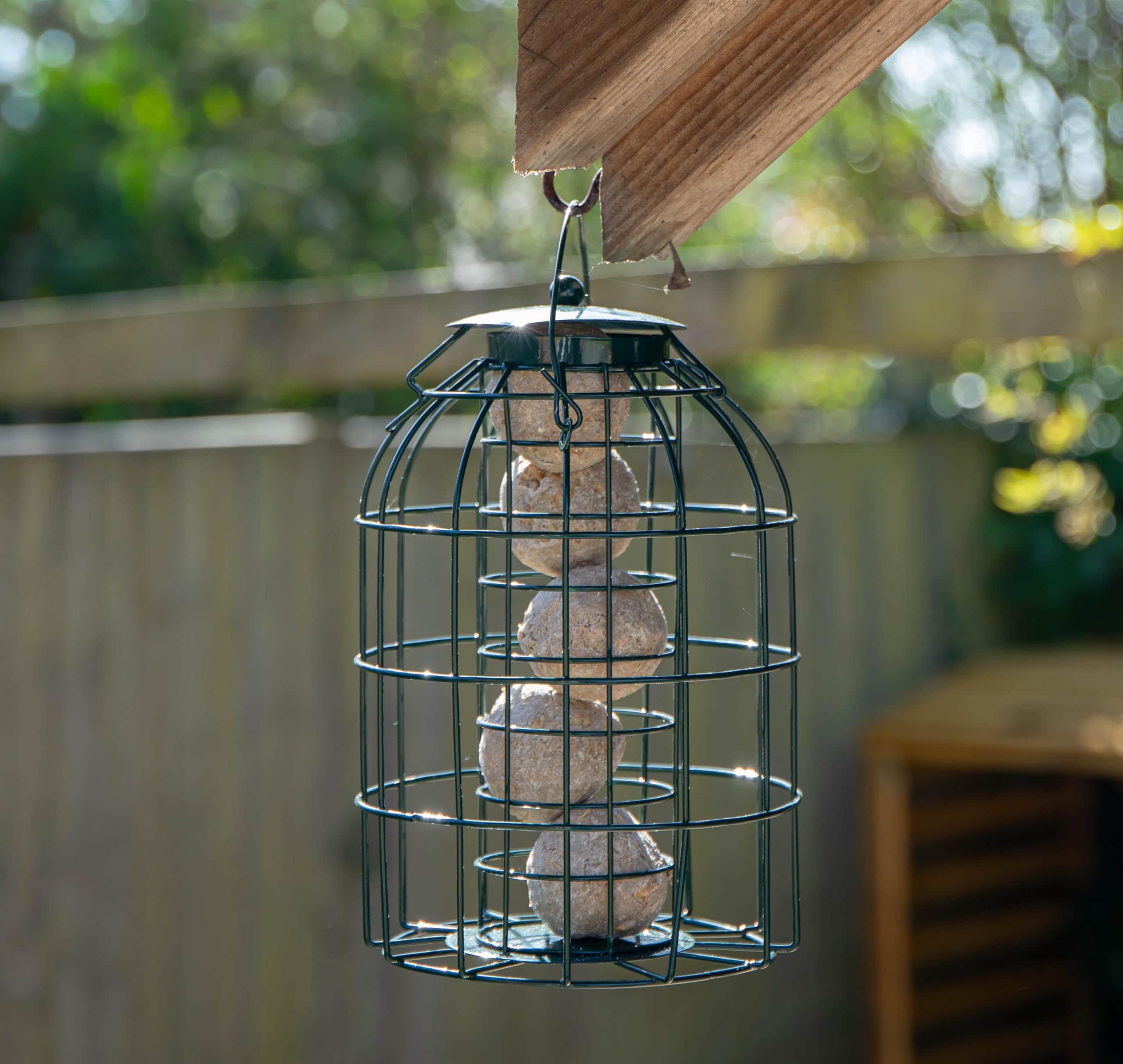 Samuel ALEXANDER Wild Bird Fat Ball Feeder with Squirrel Guard
