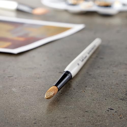 Paquete de 12 Cepillo redondo de mango corto Simply Simmons