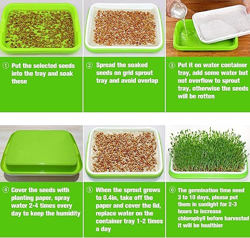 Miniatura 35 de Legigo Paquete de 2 bandejas de germinación de semillas con tapas, bandeja de germinación de cultivo sin tierra, sin BPA, bandejas de cultivo de 2