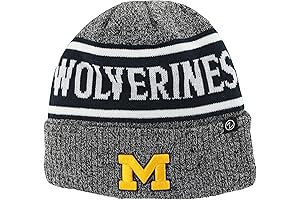 U of M Winter Hat