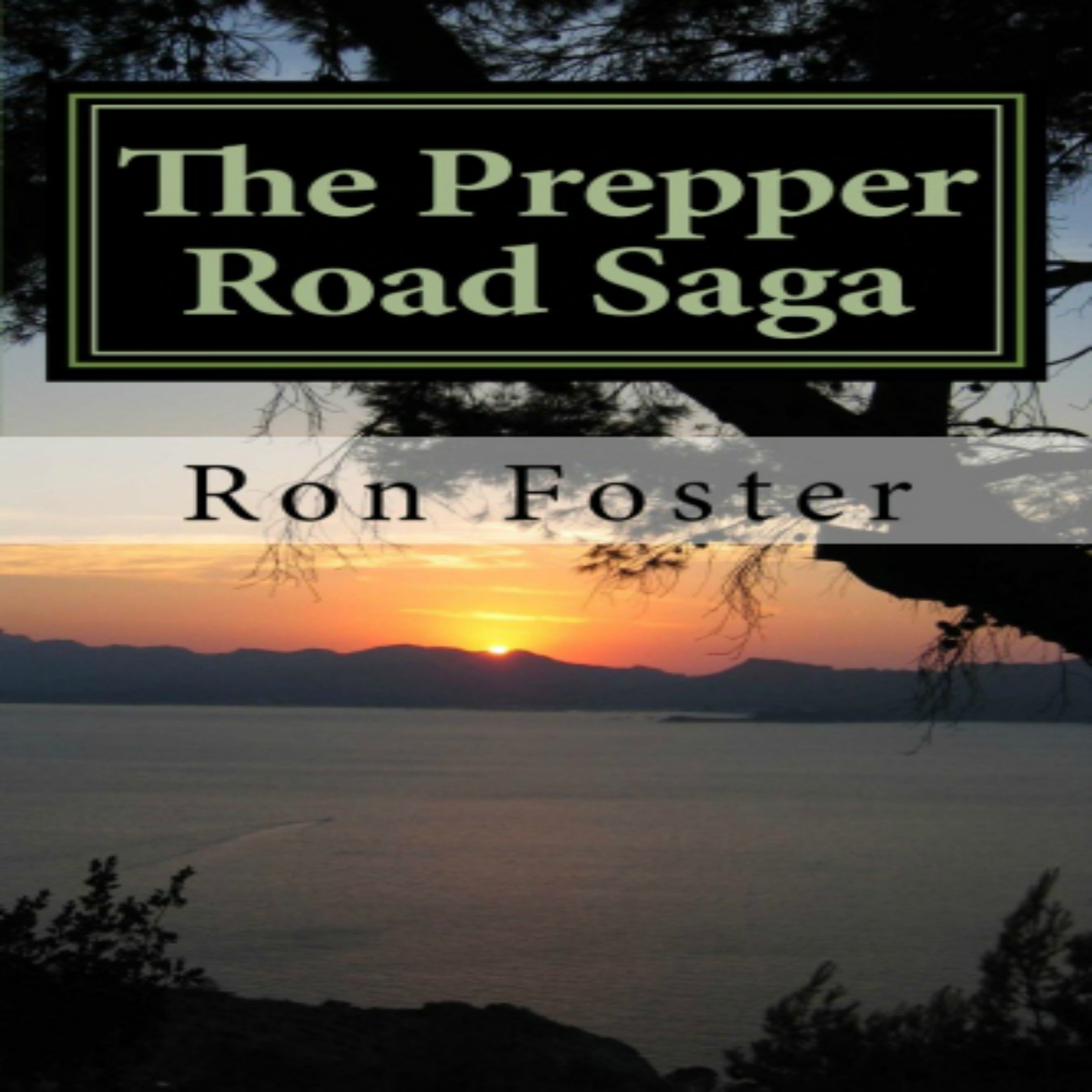 The Prepper Road Saga