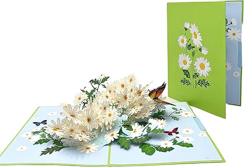 Miniatura 2 de Tarjeta de felicitación emergente, tarjeta de campo de margarita blanca, tarjeta de flores florecientes, regalo de margarita, tarjetas de flores,