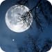 Relax Night - Nature sounds