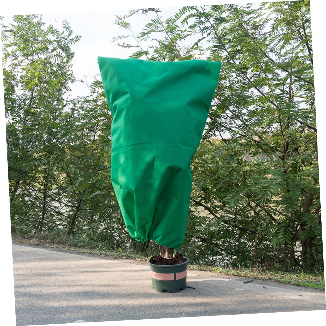 Telo Antigelo per Piante 3 Pezzi Non Tessuto Verde | Copertura Flessibile per Esterno in Inverno, Sacchi Protettivi Contro gli Uccelli, Formato per Alberi e Arbusti