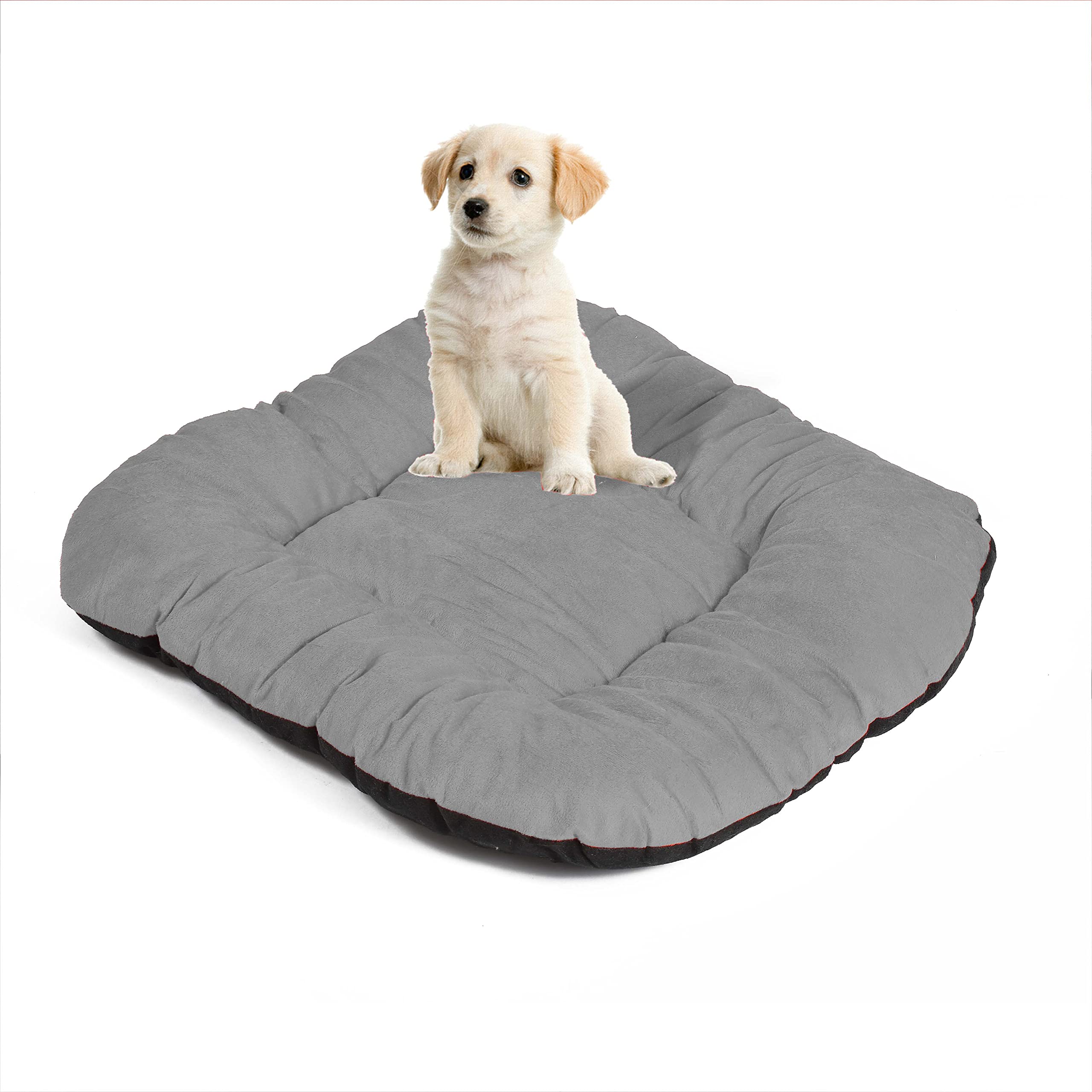 M-TEXITO Dog Bed, Cat Beds for Indoor Cats, Pet Bed for Puppy and Kitty, Extra Soft & Machine Washable (S, Grey) (B0C2CXG8VL) Amazon Price History, Amazon Price Tracker
